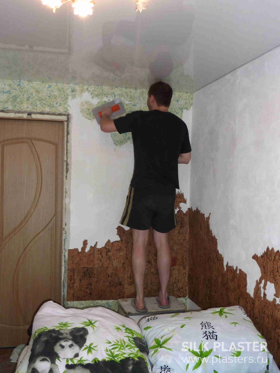 Promo_SILK_ PLASTER_2015_ 2.jpg Promo_SILK_ PLASTER_2015_ 2.jpg